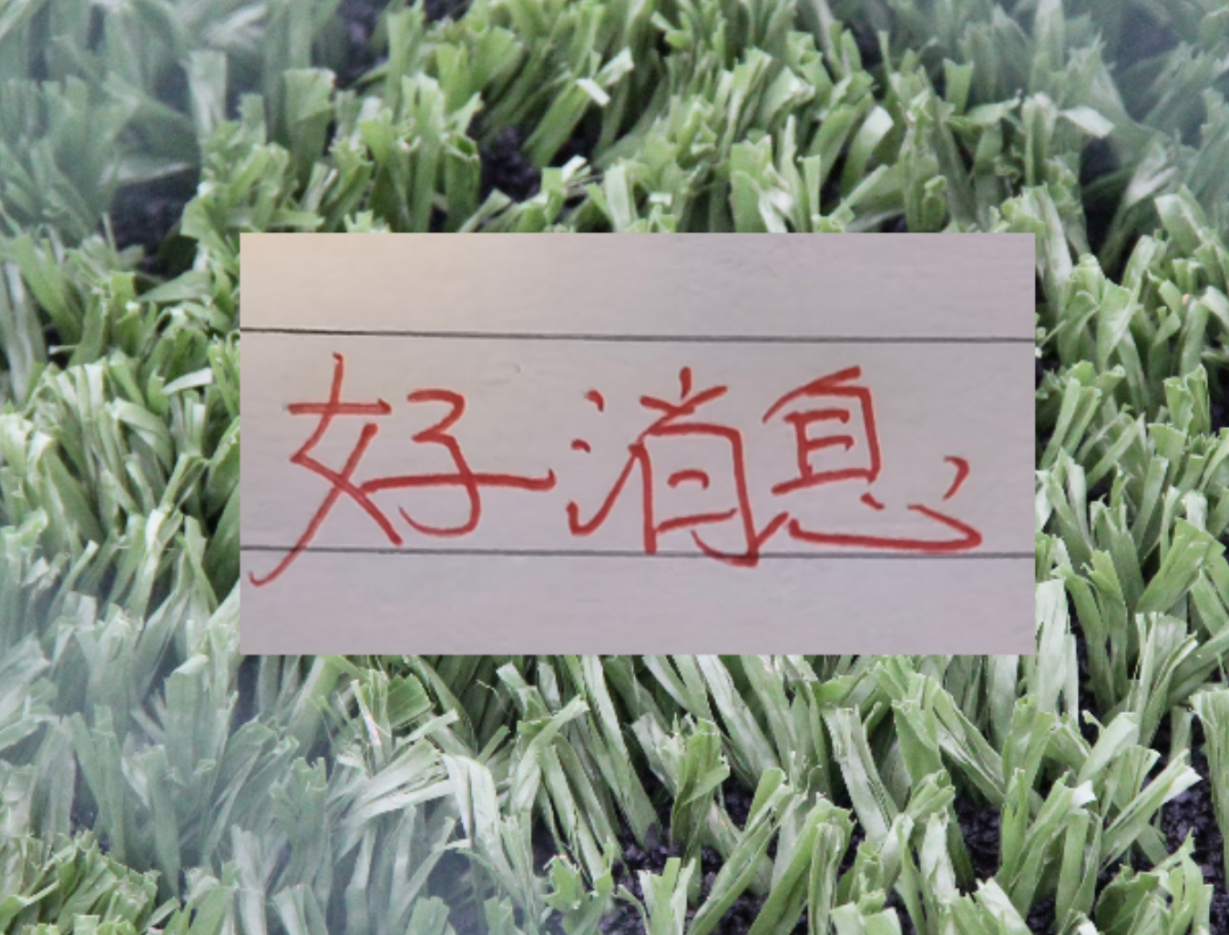 也是好消息!申花单场独造三球王牌 很有可能第四轮复出